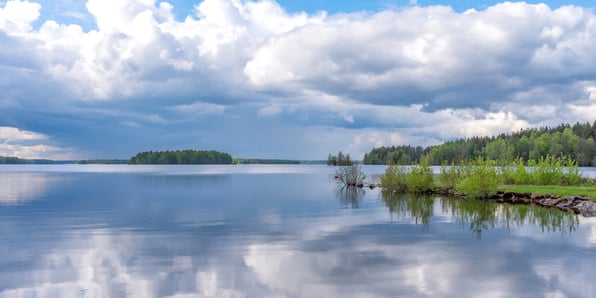 Wulff suomalaisuuden päivä