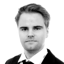 wulff_hallitus_Jussi_Vienola